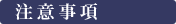 注意事項